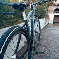 lombardo Sestriere 600