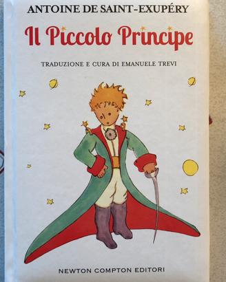 Libro il piccolo principe