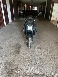 Suzuki GSX-S 1000 Pari al nuovo