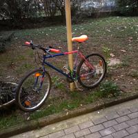 Bicicletta mountain bike 26’’
