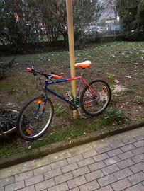 Bicicletta mountain bike 26’’