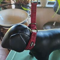 collare per cani  bordeaux 
