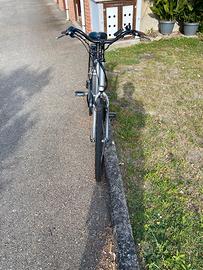 Bici elettrica