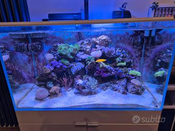 ACQUARIO AQPET CABINET 90x50x80 225 Litri Marino