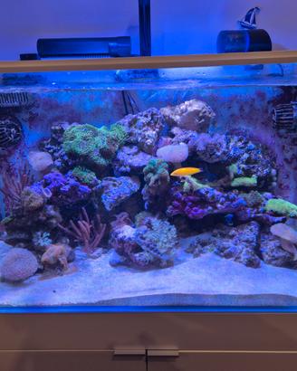 ACQUARIO AQPET CABINET 90x50x80 225 Litri Marino
