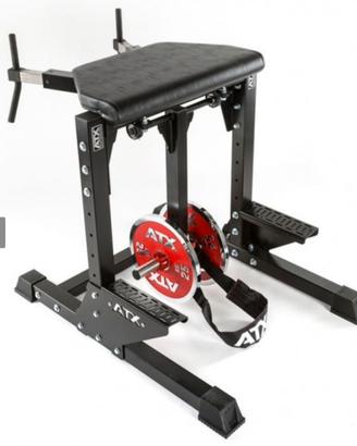 Reverse. Hyperextention ATX