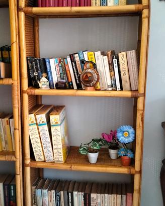 Libreria bambù e vimini