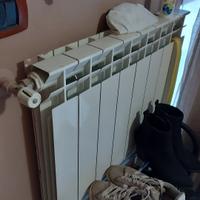 radiatori riscaldamento