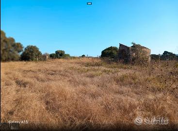 Terreno + Rudere Isola di Sant'Antioco/Su Pranu