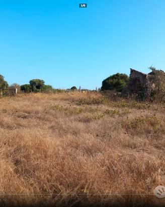 Terreno + Rudere Isola di Sant'Antioco/Su Pranu