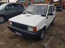 fiat-panda-1100-i-e-cat-young