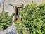 Immagine 24