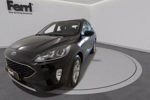 FORD Kuga 1.5 ecoblue Connect 2wd 120cv