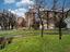 Immagine 29