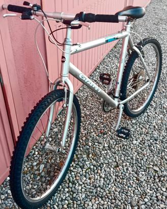 Bici Mountain bike modello Giant 