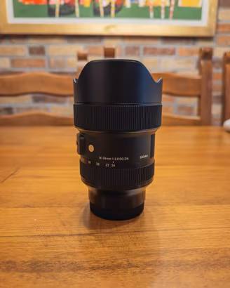 Sigma 14-24 DG DN Sony E-Mount