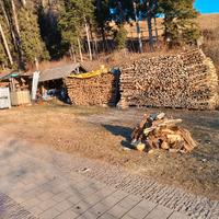 Legna da ardere di Abete