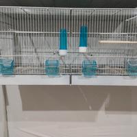 gabbia da 90cm per canarini e pappagalli 