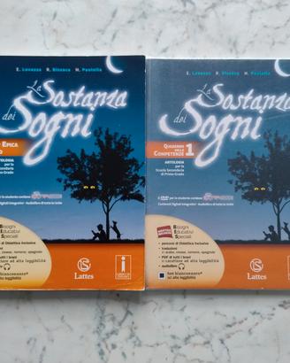 La sostanza dei sogni volume 1