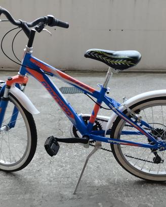 Bicicletta da bambino