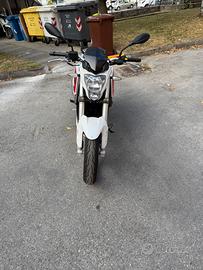 Moto nuova