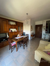 Via Paoli euro 220000