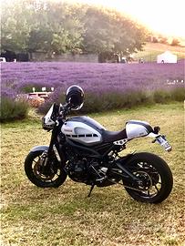 Yamaha xsr 900 2016 colore alluminio