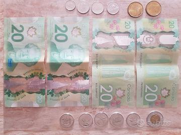 Dollari Canadesi 85,5 Nuovi