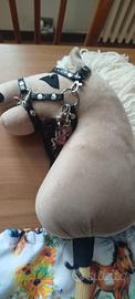 hobby horse