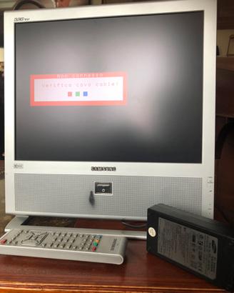 Schermo PC e TV Samsung