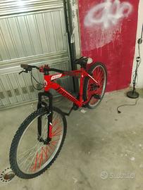 bicicletta