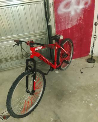 bicicletta