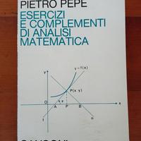 Analisi matematica: Esercizi + Complementi - Pepe