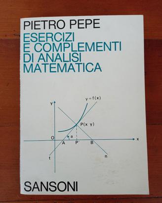 Analisi matematica: Esercizi + Complementi - Pepe