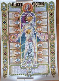 Microcosmo Esoterico poster vintage 68x98cm 