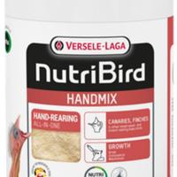 pappa da imbocco uccellini