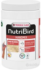 pappa da imbocco uccellini