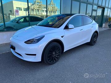 Tesla Model Y RWD