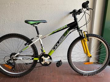 Bicicletta MB telaio 33