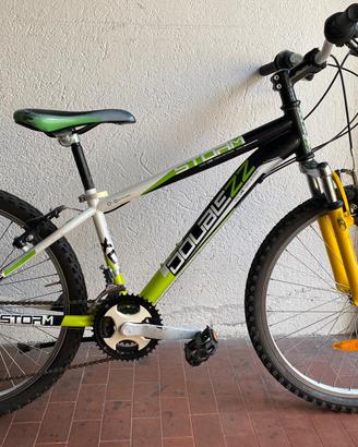 Bicicletta MB telaio 33