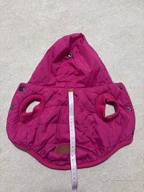 Bomberino cane taglia piccola