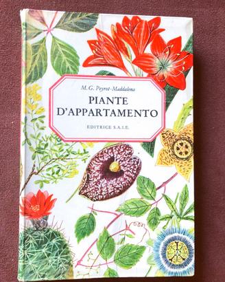 Piante d’appartamento - Peyrot Maddalena - anni 60