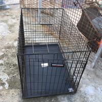 Trasportino / gabbia x cani