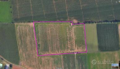 Terreno Agricolo Irriguo e Pianeggiante a Lonato
