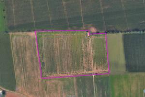 Terreno Agricolo Irriguo e Pianeggiante a Lonato