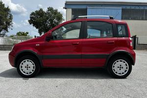 Fiat Panda 4x4 metano