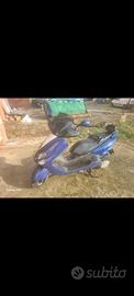 Majesty moto