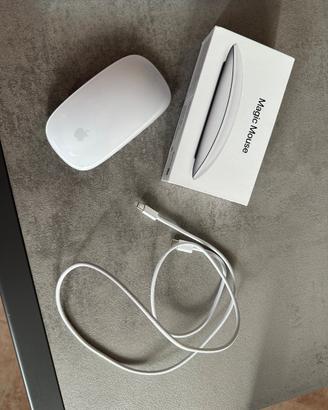 Magic Mouse Apple