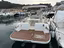 Immagine 7
