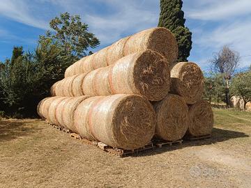 Balloni di fieno 2026